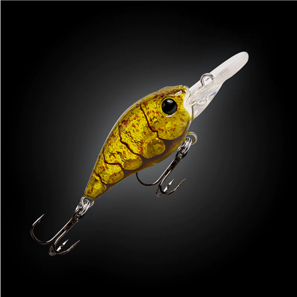 Fishcraft B-Cranky 38m - Image 2