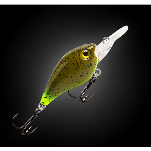 Fishcraft B-Cranky 38m - Image 9
