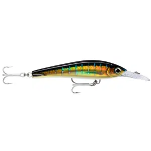 Rapala X Rap Magnum Xtreme 160mm