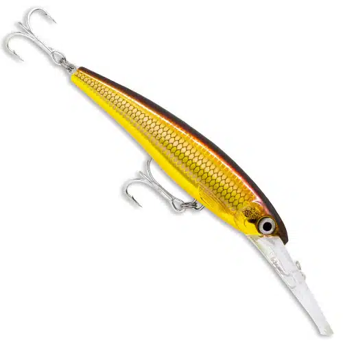 Rapala Saltwater X Rap 11cm Deep - Image 3