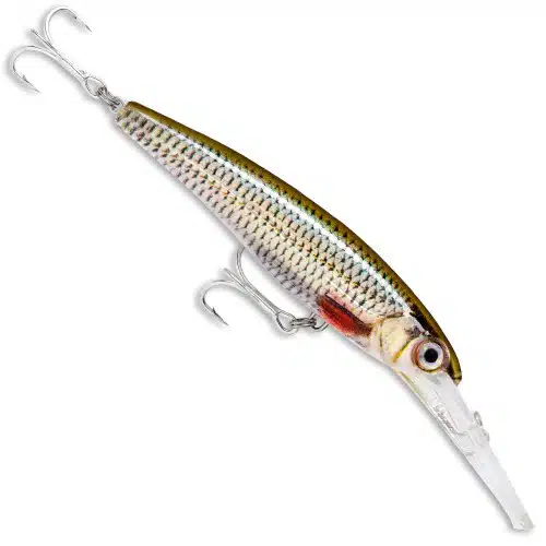 Rapala Saltwater X Rap 11cm Deep - Image 4