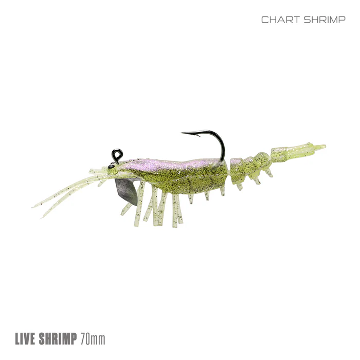 Samaki Live Shrimp 70mm 2pc - Image 5