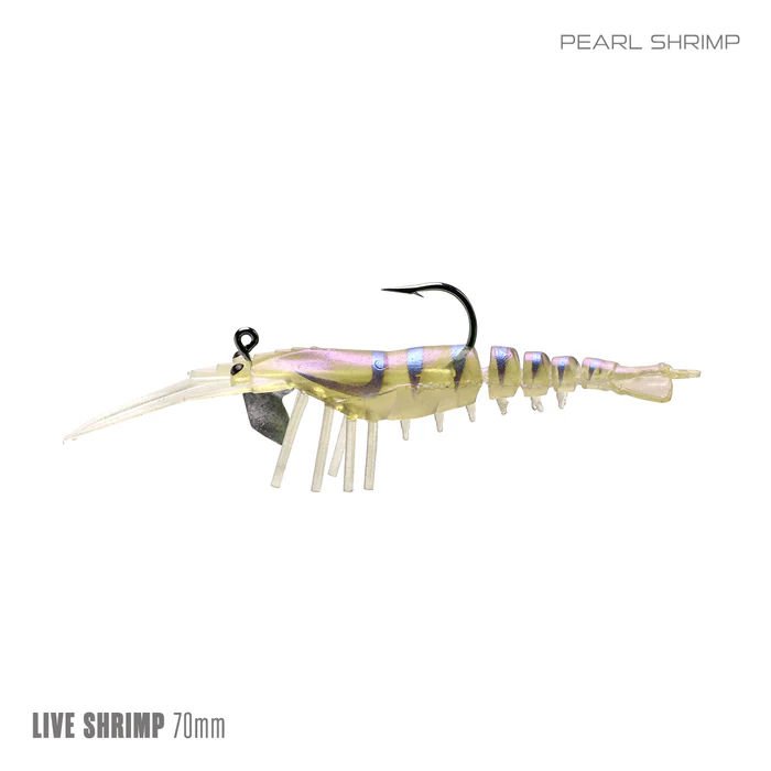 Samaki Live Shrimp 70mm 2pc - Image 3
