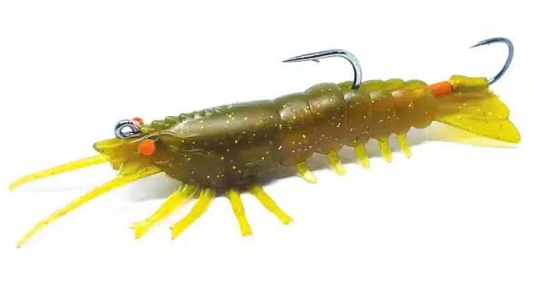 Barambah Stinger Shrimp 55F