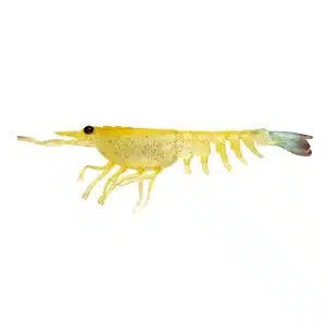 Nomad LiveOps Switcher Shrimp 4.25"