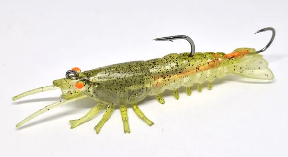 Barambah Stinger Shrimp 55F - Image 6