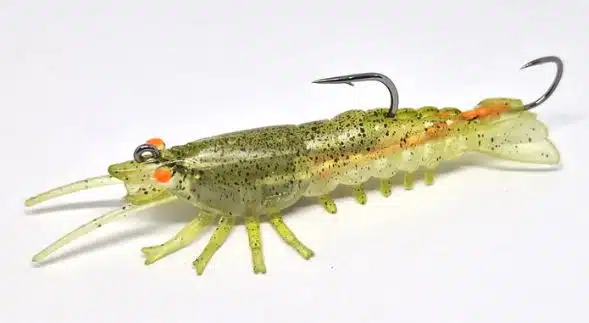 Barambah Stinger Shrimp 55F - Image 6