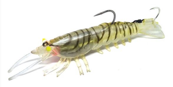 Barambah Stinger Shrimp 90 - Image 7