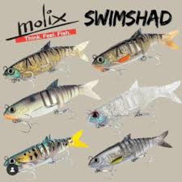 Molix Swim Shad 150mm 42g