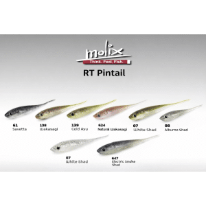 Molix RT Pintail 6.4"