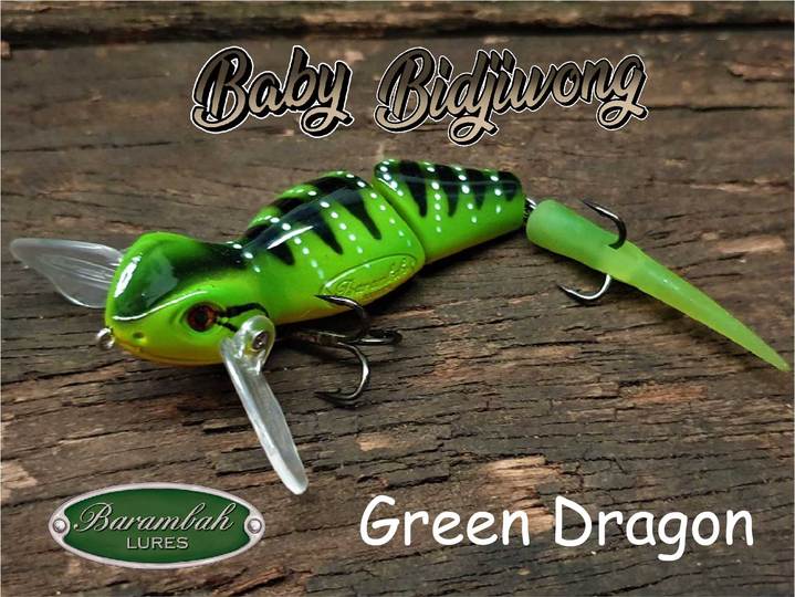 Barambah Baby Bidjiwong - Image 4