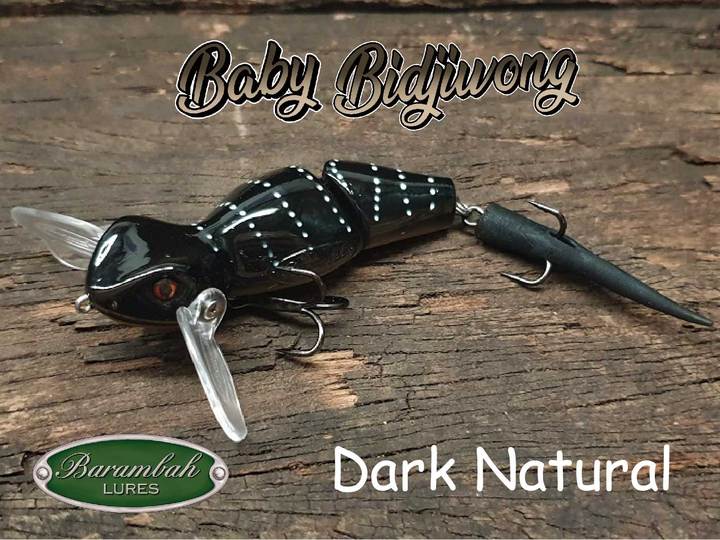 Barambah Baby Bidjiwong - Image 3