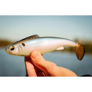 6th Sense Fishing Hangover 6.5" 2.9oz