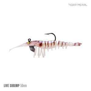 Samaki Live Shrimp 50mm 2pc