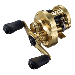 Shimano Calcutta Conquest Reel