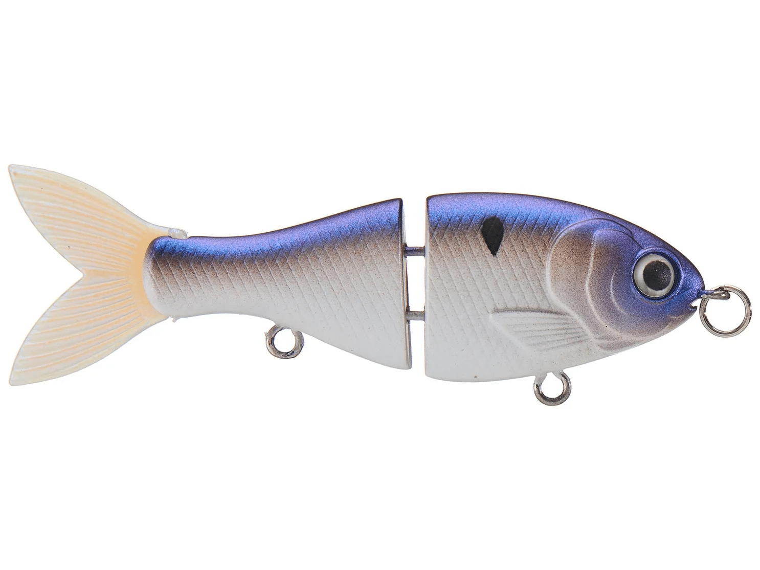 Bucca Trick Shad 2.5" - Image 2