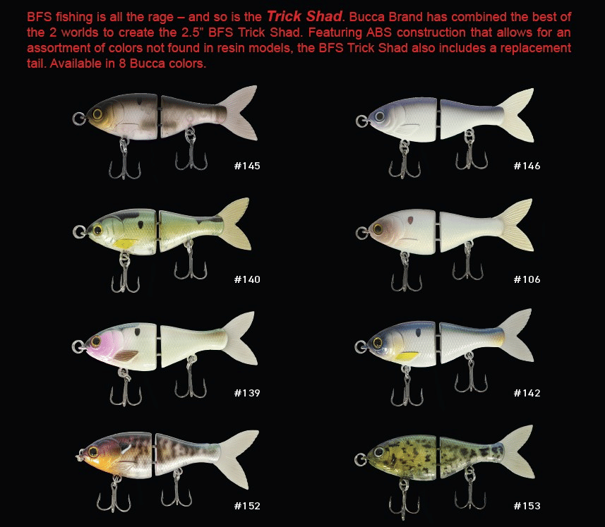 Bucca Trick Shad 2.5"