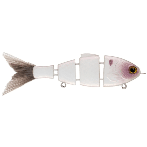 Bucca 2.5 Lil Baby Bull Shad