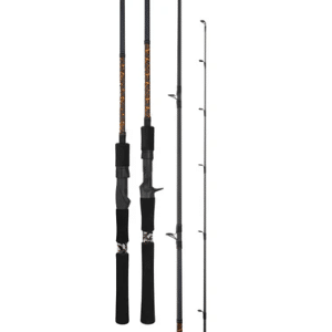 Daiwa 24 Aird x Rods