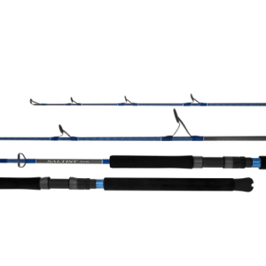 Daiwa 23 Saltist Rods