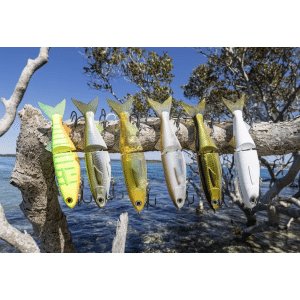 Barambah Mullet Glide 175F